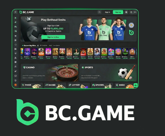 Comprehensive Guide to BC.Game Registration -313814276 Comprehensive Guide to BC.Game Registration -313814276